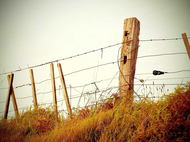 多行业适用场景展示